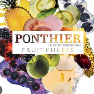 Ponthier Fagyasztott Gyümölcspürék - Delice Product