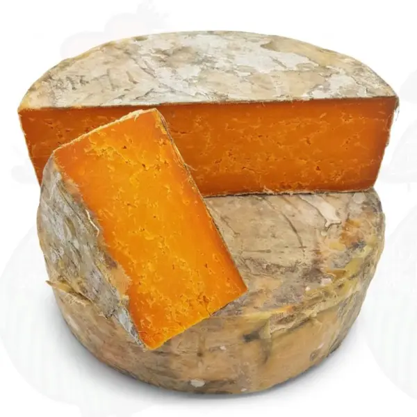 Red Leicester Sajt Delice Product