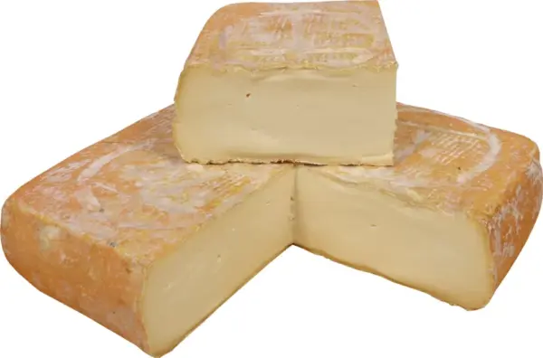 taleggio sajt delice product