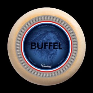 Bivalytejes Gouda Sajt