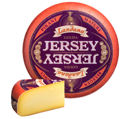 jersey gouda mature